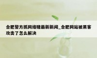 合肥警方抓网络赌最新新闻_合肥网站被黑客攻击了怎么解决