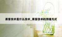 黑客技术是什么技术_黑客技术的传播方式