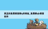 真正的免费黑客刷q币网站_免费刷qb黑客软件