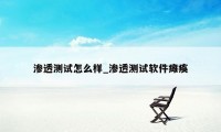 渗透测试怎么样_渗透测试软件瘫痪