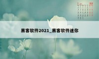 黑客软件2021_黑客软件迷你