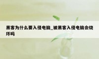 黑客为什么要入侵电脑_被黑客入侵电脑会烧坏吗