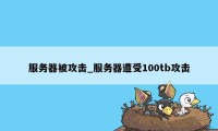 服务器被攻击_服务器遭受100tb攻击