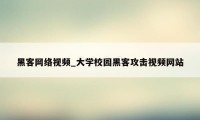 黑客网络视频_大学校园黑客攻击视频网站