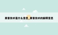 黑客技术是什么意思_黑客技术的解释意思