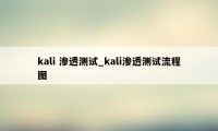 kali 渗透测试_kali渗透测试流程图