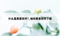 什么是黑客软件?_啥叫黑客软件下载