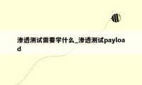 渗透测试需要学什么_渗透测试payload