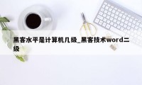 黑客水平是计算机几级_黑客技术word二级