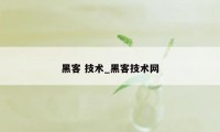 黑客 技术_黑客技术网