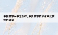 中国黑客水平怎么样_中美黑客技术水平比较好的公司