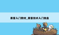 黑客入门教材_黑客技术入门微盘