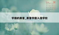 学霸的黑客_黑客学霸入侵学校