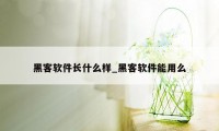 黑客软件长什么样_黑客软件能用么