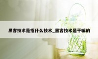 黑客技术是指什么技术_黑客技术是干嘛的