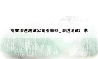 专业渗透测试公司有哪些_渗透测试厂家