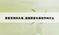 黑客常用的头像_美国黑客头像软件叫什么