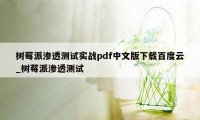 树莓派渗透测试实战pdf中文版下载百度云_树莓派渗透测试