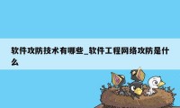 软件攻防技术有哪些_软件工程网络攻防是什么