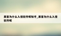 黑客为什么入侵软件呢知乎_黑客为什么入侵软件呢