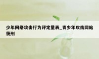 少年网络攻击行为评定量表_青少年攻击网站获刑