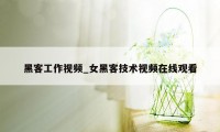 黑客工作视频_女黑客技术视频在线观看