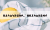 信息安全与渗透测试_广西信息安全渗透测试