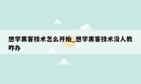 想学黑客技术怎么开始_想学黑客技术没人教咋办