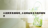 小说网页有病毒吗_小说网站有木马程序嘛知乎