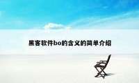 黑客软件bo的含义的简单介绍