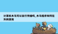 计算机木马可以自行传播吗_木马程序如何在外网使用