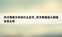 天才黑客少年叫什么名字_天才黑客进入网络会怎么样