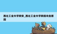 西北工业大学网安_西北工业大学网络攻击原因