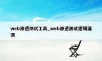 web渗透测试工具_web渗透测试逻辑漏洞