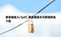 黑客编程入门pdf_黑客编程木马教程网盘下载