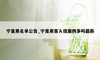 宁夏黑名单公告_宁夏黑客入侵案例多吗最新